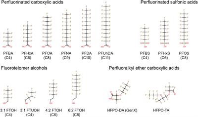 Determination of in vitro immunotoxic potencies of a series of perfluoralkylsubstances (PFASs) in human Namalwa B lymphocyte and human Jurkat T lymphocyte cells